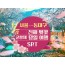 SRT - 환상의 진해벚꽃 & 군항제 여행 (당일) - 왕복 동대구역