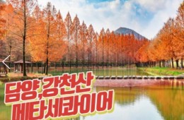 [수서역 출발] KTX - 강천산 구름다리 가을단풍 & 담양죽녹원 & 메타세콰이어 여행(당일)