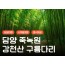 [수서역 출발] KTX - 강천산 구름다리 가을단풍 & 담양죽녹원 & 메타세콰이어 여행(당일)