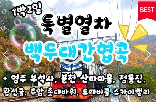 [특별열차] 백두대간협곡열차 가을단풍 & 동해산타열차 & 부석사 & 정동진 & 묵호항 여행(1박2일)