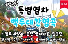 [특별열차] 백두대간협곡열차 가을단풍 & 동해산타열차 & 부석사 & 정동진 & 묵호항 여행(1박2일)