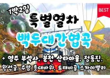 [특별열차] 백두대간협곡열차 가을단풍 & 동해산타열차 & 부석사 & 정동진 & 묵호항 여행(1박2일)