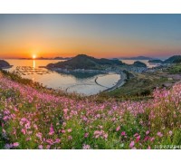 [KTX-용산역/광명역/오송역1박] 청산도/보길도/땅끝마을/완도 여행 (1박2일)