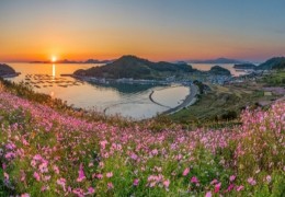 [KTX-용산역/광명역/오송역1박] 청산도/보길도/땅끝마을/완도 여행 (1박2일)