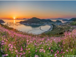 [KTX-용산역/광명역/오송역1박] 청산도/보길도/땅끝마을/완도 여행 (1박2일)