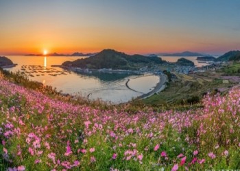 [KTX-용산역/광명역/오송역1박] 청산도/보길도/땅끝마을/완도 여행 (1박2일)