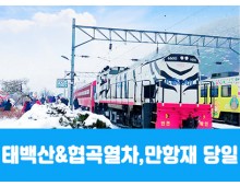 [수도권/경상권출발] ★겨울눈꽃★태백산&협곡열차, 함백산 만항재(당일)