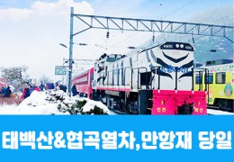 [수도권/경상권출발] ★겨울눈꽃★태백산&협곡열차, 함백산 만항재(당일)