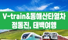 [태백택시투어 1코스] 협곡열차 & 동해산타열차 정동진, 태백투어(당일)