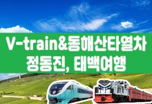[태백택시투어 1코스] 협곡열차 & 동해산타열차 정동진, 태백투어(당일)