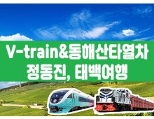 [태백택시투어 1코스] 협곡열차 & 동해산타열차 정동진, 태백투어(당일)