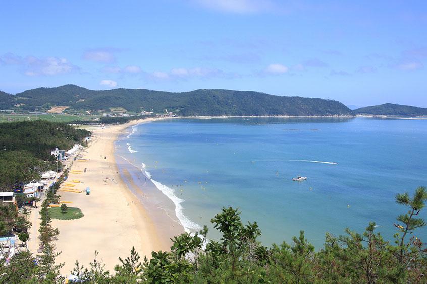 KTX◆남도힐링 1박2일 (완도/강진/화순)◆완도 루미아 호텔 3월부터~