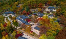 [수도권/충청권/경상권] V-train백두대간협곡열차&부석사&예끼마을 1박2일