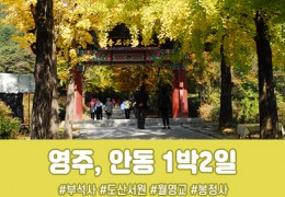 [수도권/충청권/경상권]영주 부석사&안동 예끼마을,협곡열차 1박2일