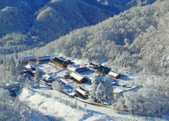 [KTX 이음] 설악산 눈꽃& 속초 겨울바다 낭만 하루 기차여행(당일)