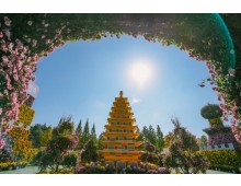 ◆10/30단1회◆[새마을호-당일]블링블링 천만송이 국화축제 & 보석대축제