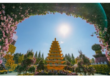 ◆10/30단1회◆[새마을호-당일]블링블링 천만송이 국화축제 & 보석대축제