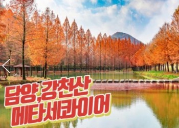 (수원역출발)KTX+새승 - 강천산구름다리 가을단풍 & 담양죽녹원 & 메타세콰이어여행(당일)
