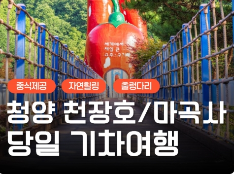 KTX - 세계유산 산사!! 마곡사 가을단풍 & 청양 출렁다리 & 고운식물원 여행 (당일)