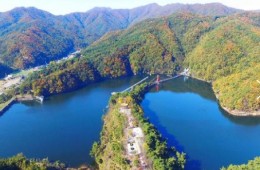 KTX - 세계유산 산사!! 마곡사 가을단풍 & 청양 출렁다리 & 고운식물원 여행 (당일)