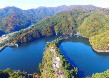 KTX - 세계유산 산사!! 마곡사 가을단풍 & 청양 출렁다리 & 고운식물원 여행 (당일)
