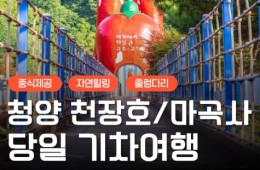 KTX - 세계유산 산사!! 마곡사 가을단풍 & 청양 출렁다리 & 고운식물원 여행 (당일)