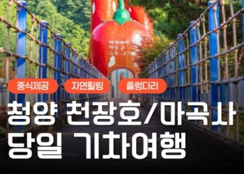 KTX - 세계유산 산사!! 마곡사 가을단풍 & 청양 출렁다리 & 고운식물원 여행 (당일)