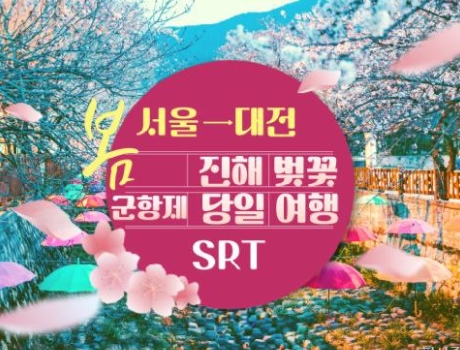 SRT - 환상의 진해벚꽃 & 군항제 여행 (당일) - 왕복 대전역