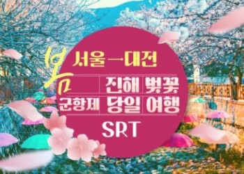 SRT - 환상의 진해벚꽃 & 군항제 여행 (당일) - 왕복 대전역