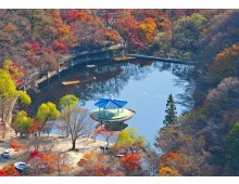 [S-train] 내장산 단풍 기차여행(당일)