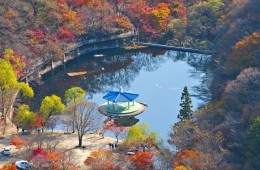 [S-train] 내장산 단풍 기차여행(당일)