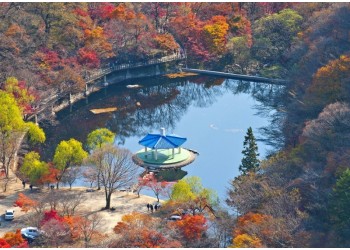 [S-train] 내장산 단풍 기차여행(당일)