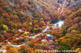 ◆가을맞이◆[KTX](1식포함)조선8경 오색단풍 내장산+익산 미륵사지