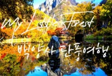 (수원역출발)새마을호 - 천년 고찰!! 백양사 애기 가을단풍 여행(당일)