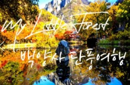 (수원역출발)새마을호 - 천년 고찰!! 백양사 애기 가을단풍 여행(당일)