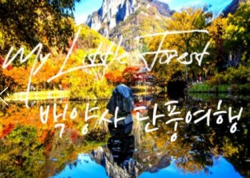 (수원역출발)새마을호 - 천년 고찰!! 백양사 애기 가을단풍 여행(당일)