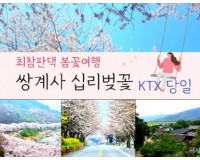 KTX - 환상의 쌍계사 십리벚꽃*화개장터 & 최참판댁 봄꽃여행(당일)