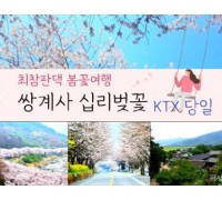 KTX - 환상의 쌍계사 십리벚꽃*화개장터 & 최참판댁 봄꽃여행(당일)