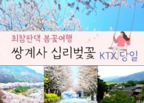 KTX - 환상의 쌍계사 십리벚꽃*화개장터 & 최참판댁 봄꽃여행(당일)