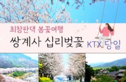 KTX - 환상의 쌍계사 십리벚꽃*화개장터 & 최참판댁 봄꽃여행(당일)