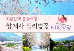 KTX - 환상의 쌍계사 십리벚꽃*화개장터 & 최참판댁 봄꽃여행(당일)