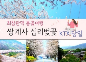 KTX - 환상의 쌍계사 십리벚꽃*화개장터 & 최참판댁 봄꽃여행(당일)