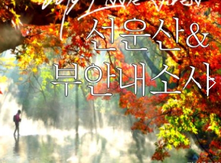 (수원역출발)새마을호 - 고창 선운사 가을단풍 & 부안 내소사 * 전나무 숲길 여행 (당일)