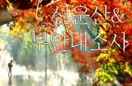 (수원역출발)새마을호 - 고창 선운사 가을단풍 & 부안 내소사 * 전나무 숲길 여행 (당일)