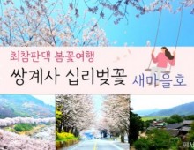 수원역/천안출발) ITX-새마을 - 환상의 쌍계사 십리벚꽃*화개장터 & 최참판댁 봄꽃여행(당일)