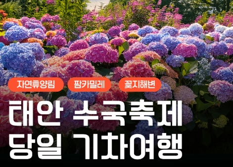 [무궁화호] 2026 태안 수국축제&안면도 자연휴양림&꽃지해변 당일 기차여행 (6/13~7/26)