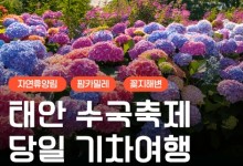 [무궁화호] 2026 태안 수국축제&안면도 자연휴양림&꽃지해변 당일 기차여행 (6/13~7/26)