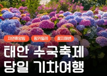 [무궁화호] 2026 태안 수국축제&안면도 자연휴양림&꽃지해변 당일 기차여행 (6/13~7/26)