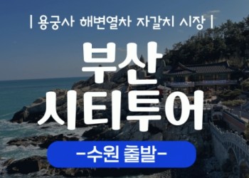 (수원출발)KTX+새마을 - 부산시티투어(2탄) - 해운대 해변열차 & 용궁사 & 아난티코브 여행(당일)