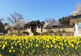 [서해금빛열차+예산관광택시]아름다운 예산 아그로랜드+예산시장
